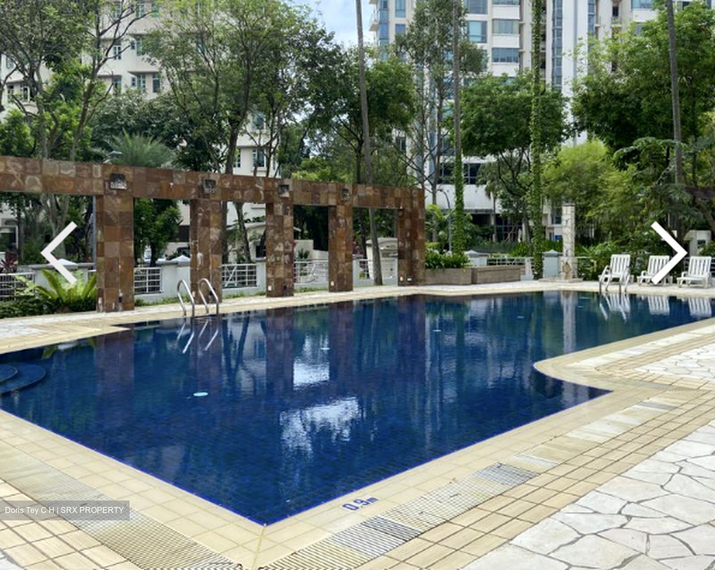 The Balmoral Spring (D10), Apartment For Rent 99171551
